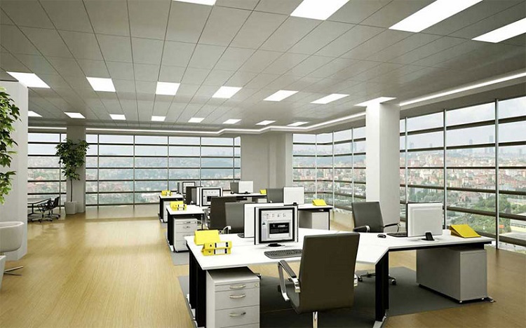 cơ cấu tổ chức của văn phòng đại diện