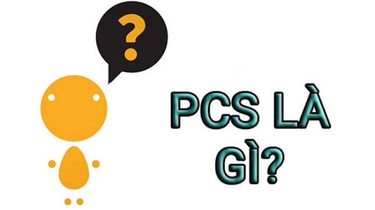 PCS l&agrave; g&igrave;? Ph&acirc;n biệt c&aacute;c kh&aacute;i niệm về PCS được sử dụng phổ biến hiện nay&nbsp;