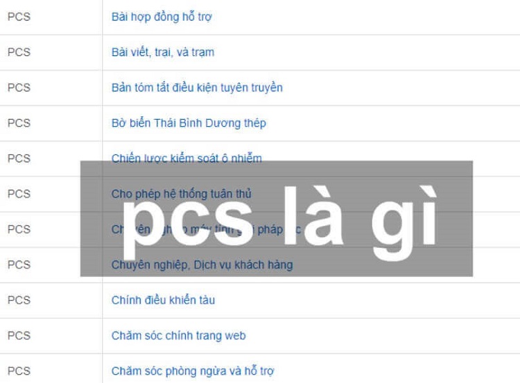 PCS l&agrave; g&igrave;? Ph&acirc;n biệt c&aacute;c kh&aacute;i niệm về PCS được sử dụng phổ biến hiện nay&nbsp;