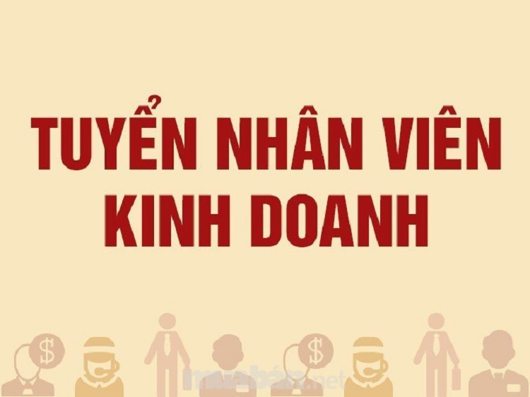 C&aacute;ch viết nội dung CV nh&acirc;n vi&ecirc;n kinh doanh chưa c&oacute; kinh nghiệm