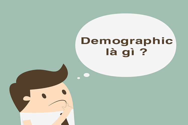 Demographic là gì?