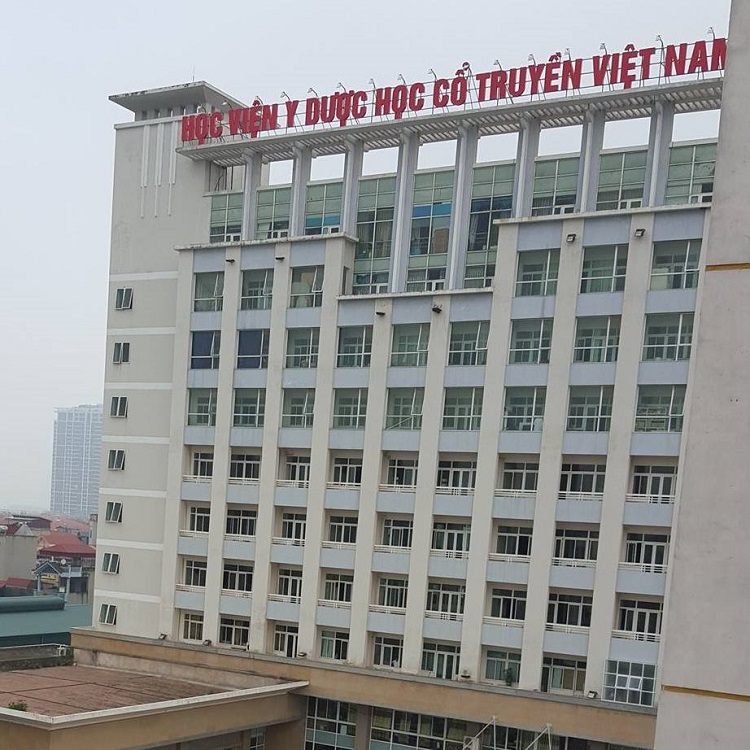 học y học cổ truyền thì học những gì