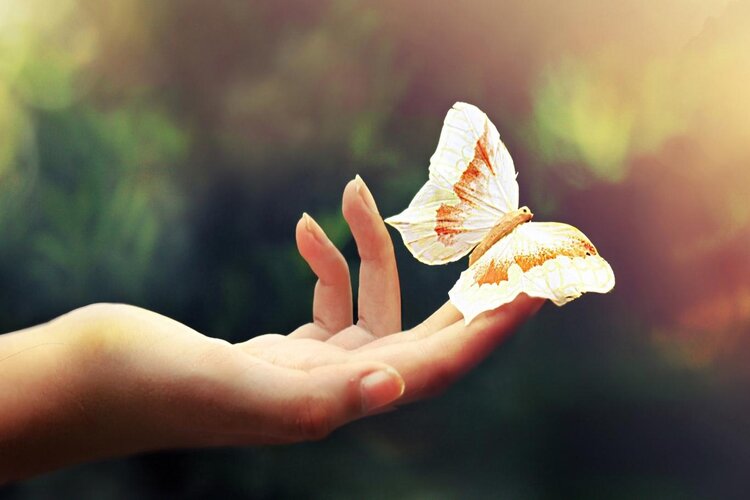 Cảm nhận v&agrave; đ&aacute;nh gi&aacute; s&aacute;ch Sống tự lập chứ đừng c&ocirc; lập