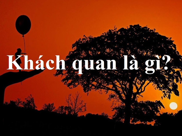 Khách quan là gì? Tổng hợp được những kiến thức cơ bản về khái niệm khách quan