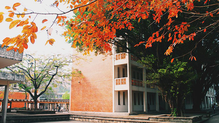 Sinh vi&ecirc;n Đại học Ngoại ngữ c&oacute; thể l&agrave;m những c&ocirc;ng việc n&agrave;o sau khi tốt nghiệp?