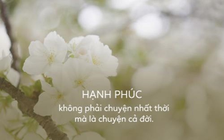 Hạnh ph&uacute;c l&agrave; g&igrave;? H&agrave;nh tr&igrave;nh t&igrave;m kiếm hạnh ph&uacute;c từ những điều b&eacute; nhỏ&nbsp;