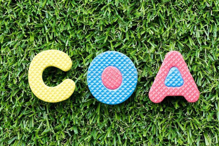 Định nghĩa cơ bản về COA là gì