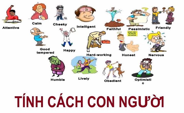 Phương ph&aacute;p trắc nghiệm t&iacute;nh c&aacute;ch mbti 