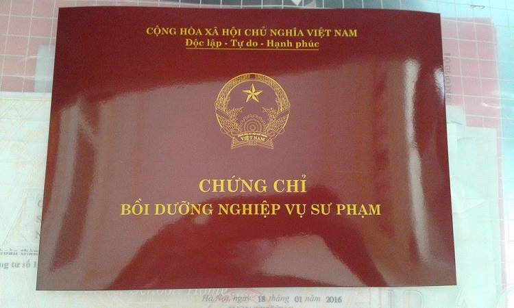 1001 câu hỏi liên quan đến học chứng chỉ nghiệp vụ sư phạm