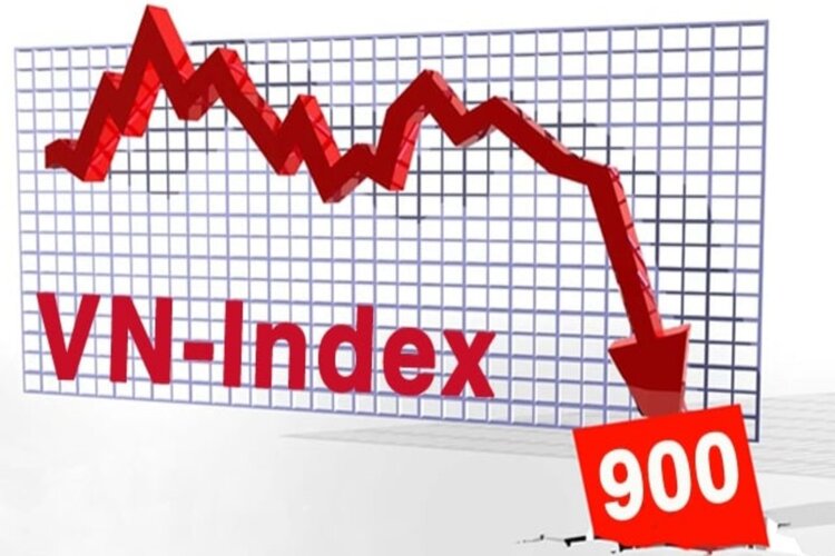 Chỉ số VN index 