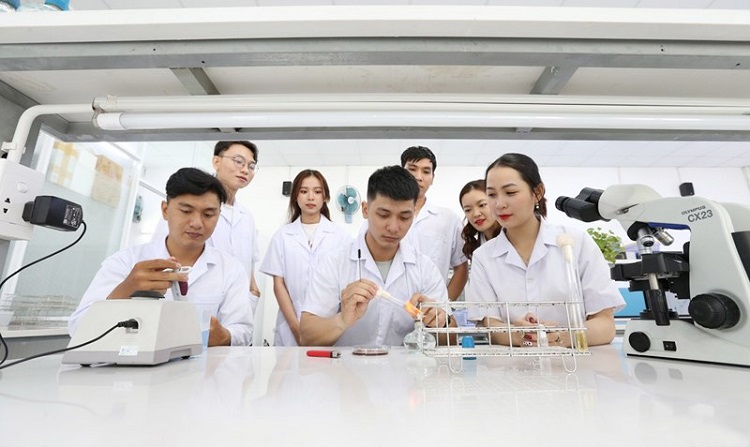 Khoa dược trường Đại học Hồng B&agrave;ng v&agrave; cơ hội việc l&agrave;m hấp dẫn