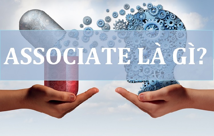 Thuật ngữ associate l&agrave; g&igrave;?