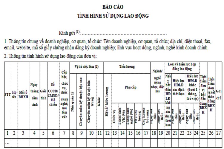 Báo cáo lao động là gì