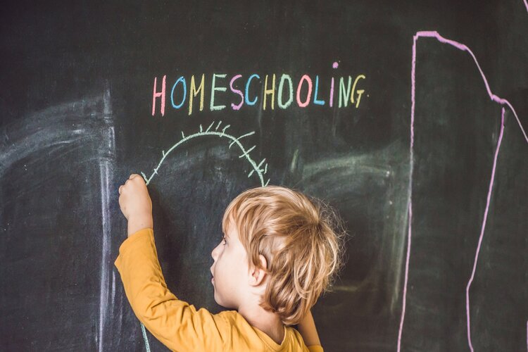 Dịch nghĩa homeschooling l&agrave; g&igrave;?