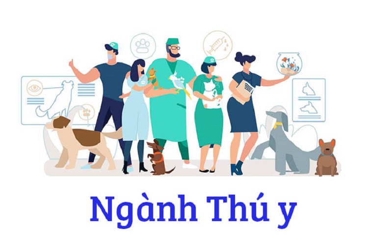 Ngành thú y là gì? Cơ hội việc làm của ngành thú y hiện nay