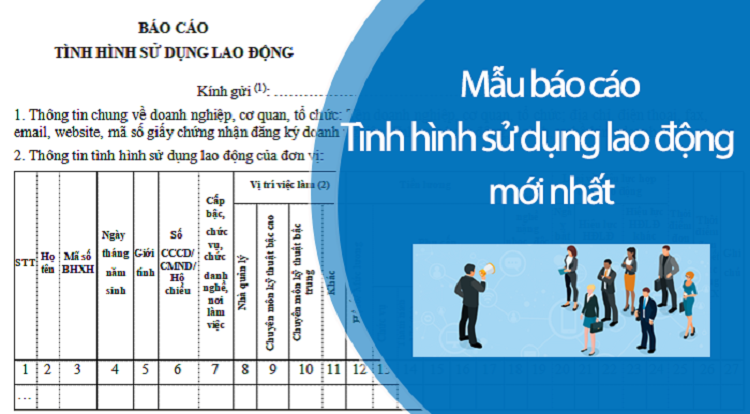 báo cáo lao động