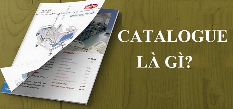 Thiết kế catalogue l&agrave; g&igrave;?