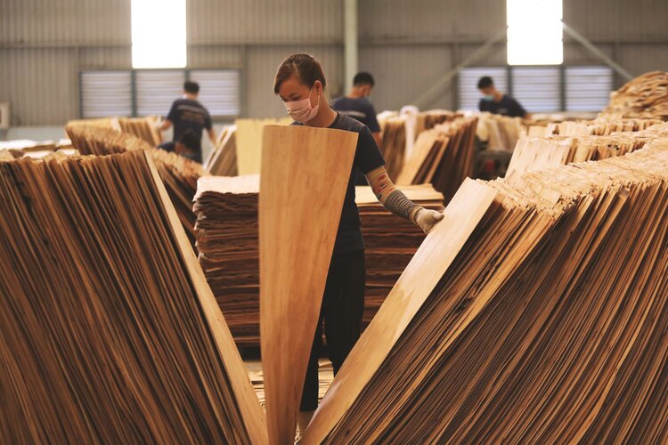 Một v&agrave;i n&eacute;t nổi bật về nghề chế biến gỗ