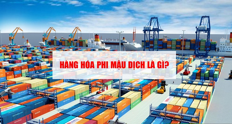 Hàng phi mậu dịch là gì? Lưu ý về hàng phi mậu dịch doanh nghiệp cần biết