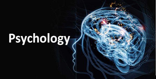 Ngành tâm lý học giáo dục là gì? Mô tả vị trí công việc trong tương lai