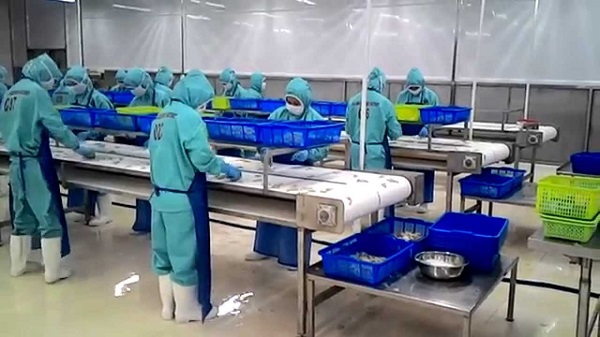 Việc l&agrave;m nh&acirc;n vi&ecirc;n kinh doanh ng&agrave;nh thủy hải sản v&ocirc; c&ugrave;ng đa dạng