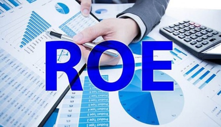 Chỉ số ROE l&agrave; g&igrave;?