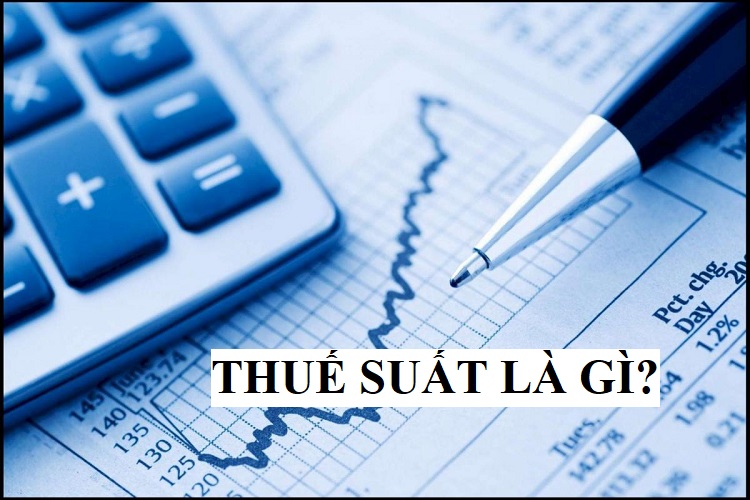 Thuế suất là gì? Những loại thuế suất mà bạn phải biết