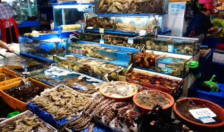 kinh doanh thủy hải sản