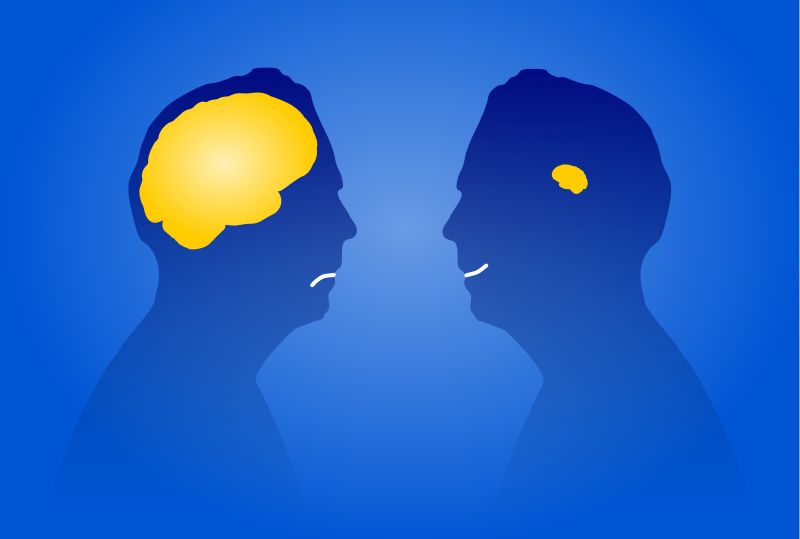 C&aacute;c giai đoạn của hiệu ứng Dunning Kruger
