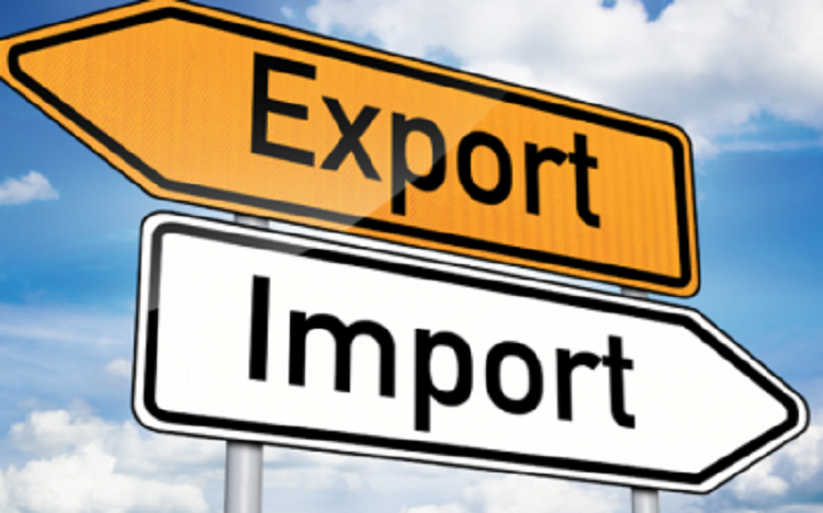 Mô tả chi tiết thông tin về Trưởng phòng xuất nhập khẩu từ A đến Z