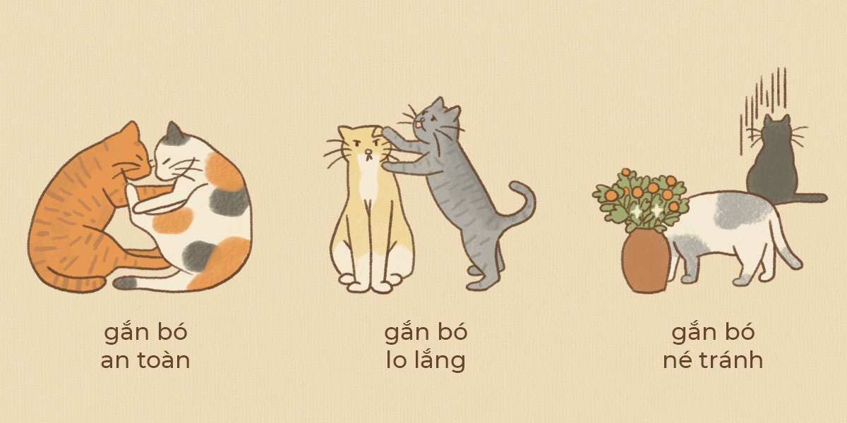 Những kiểu thuyết gắn b&oacute; m&agrave; bạn cần biết