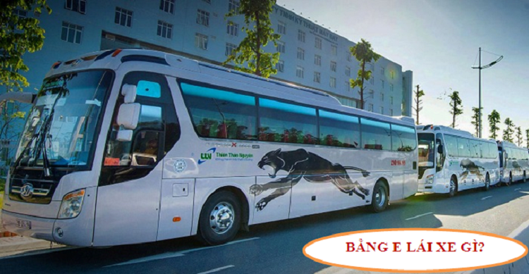 Bằng E lái xe là gì? Thông tin chi tiết nhất về bằng E lái xe