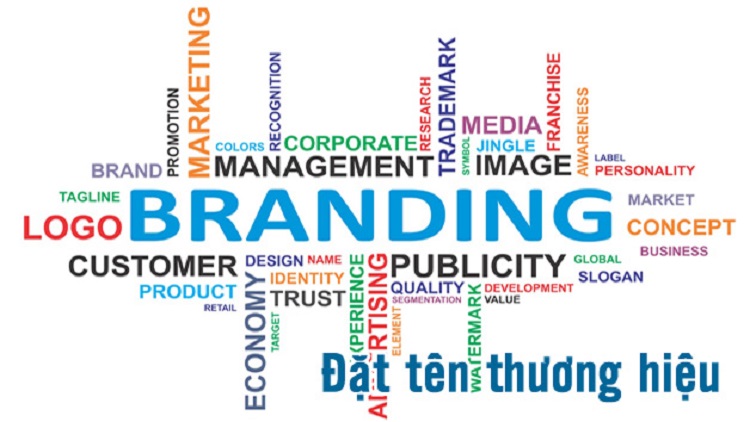 Hướng dẫn chi tiết đặt tên thương hiệu cho Startup khởi nghiệp