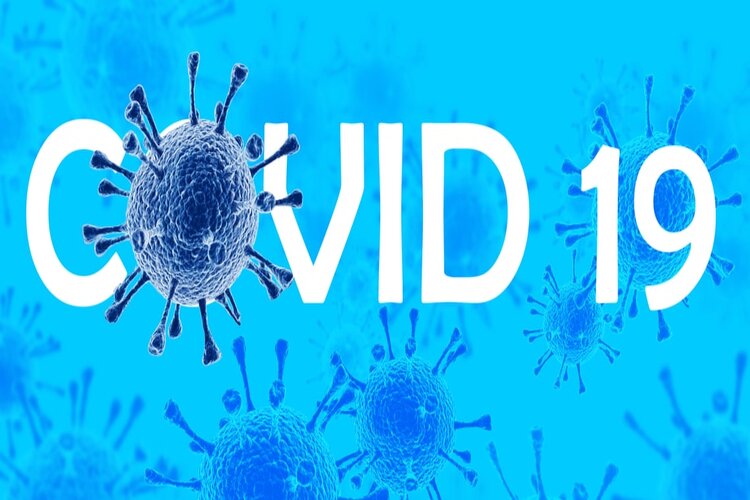 Thị trường gấu tạo bởi Covid-19 nghi&ecirc;m trọng cỡ n&agrave;o?
