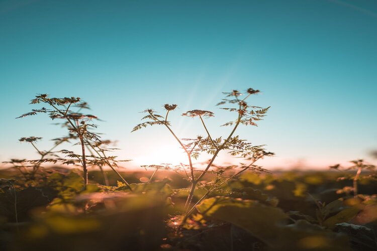 Morning vibe l&agrave; g&igrave;