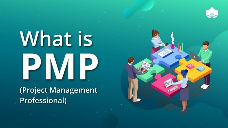 PMP la gi