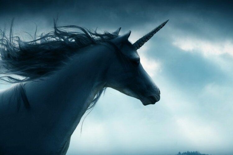 Unicorn l&agrave; g&igrave;