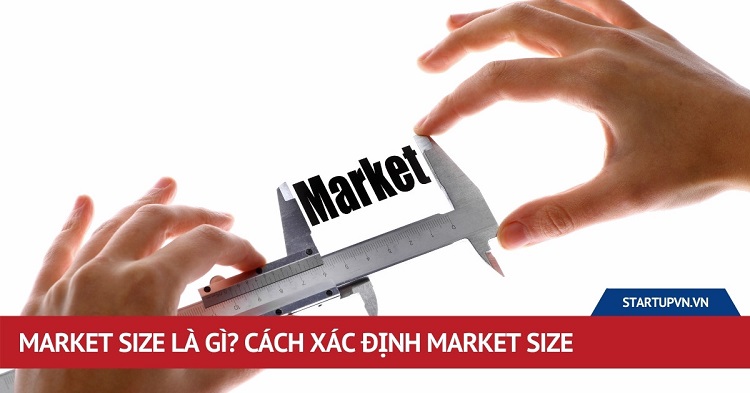 Market size là gì? Cách tính market size dựa trên Survey data