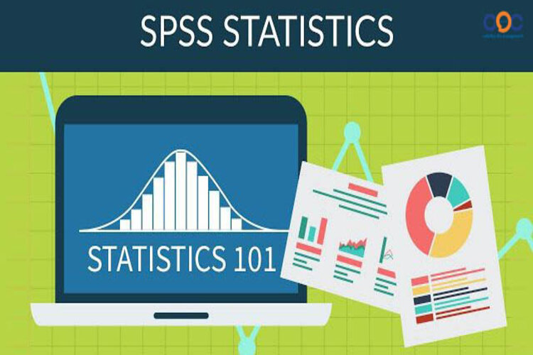 Ph&acirc;n t&iacute;ch thống k&ecirc; tần số trong SPSS (Frequency)