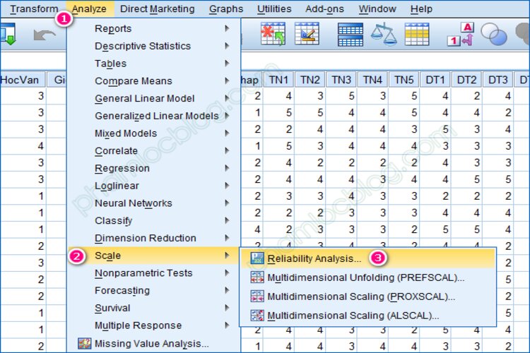 Ph&acirc;n t&iacute;ch độ tin cậy trong SPSS (Cronbach&rsquo;s Alpha)