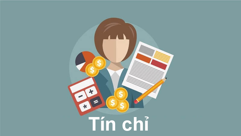 Ưu điểm của h&igrave;nh thức đ&agrave;o tạo theo t&iacute;n chỉ l&agrave; g&igrave;?
