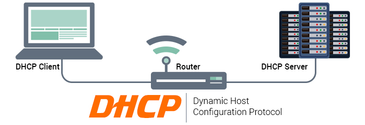 Vai tr&ograve; của DHCP l&agrave; g&igrave; trong một hệ thống mạng &nbsp;