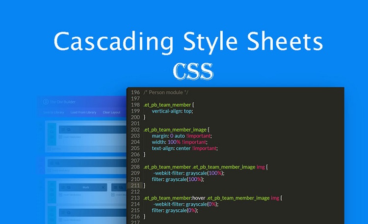 Giao diện của border CSS l&agrave; g&igrave;?