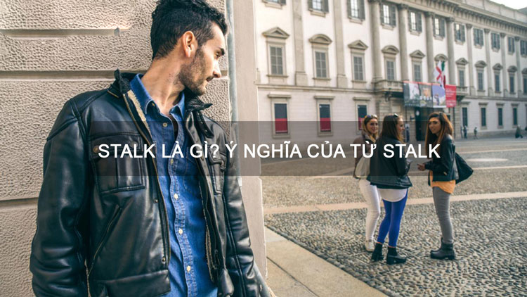 Stalk l&agrave; g&igrave;?