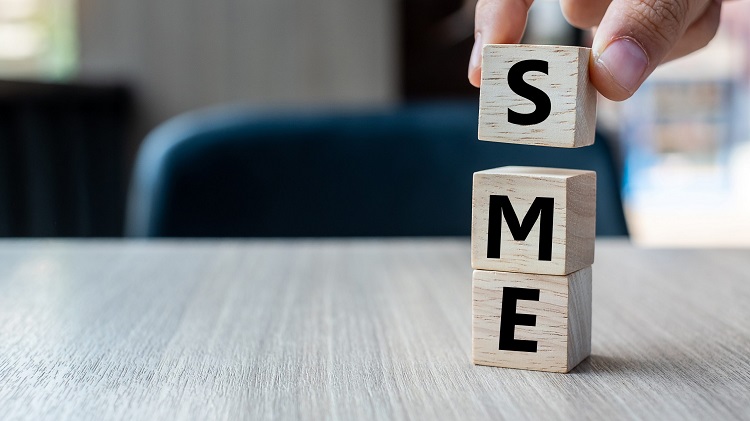 Doanh nghiệp SME trong nền kinh tế Việt Nam hiện nay, phân biệt SME và Startup