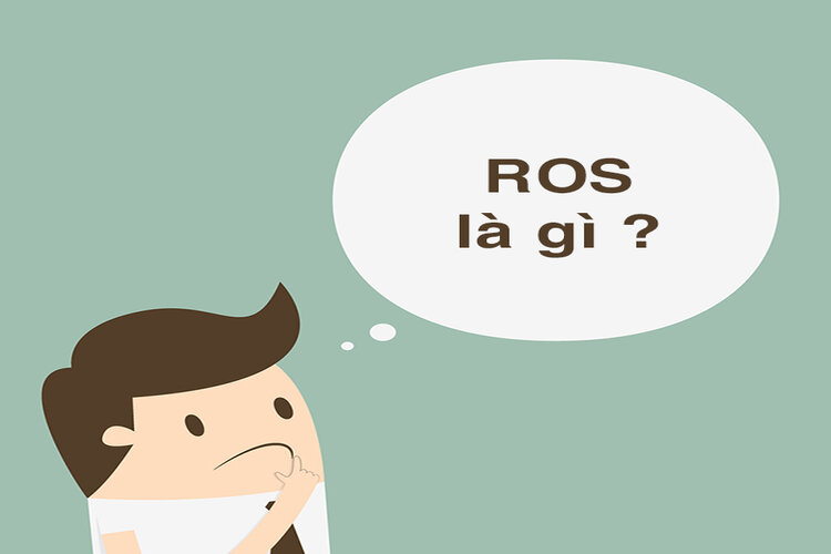 Kh&aacute;i niệm ROS l&agrave; g&igrave;
