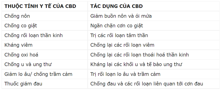 T&igrave;m hiểu về CBD l&agrave; g&igrave; v&agrave; những sự thật về tinh dầu CBD