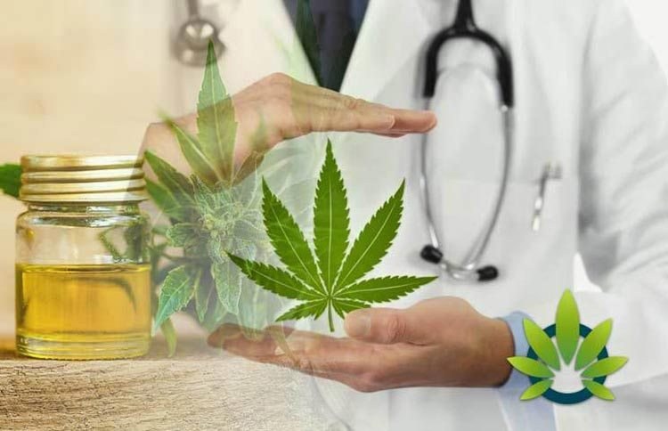 T&igrave;m hiểu về CBD l&agrave; g&igrave; v&agrave; những sự thật về tinh dầu CBD