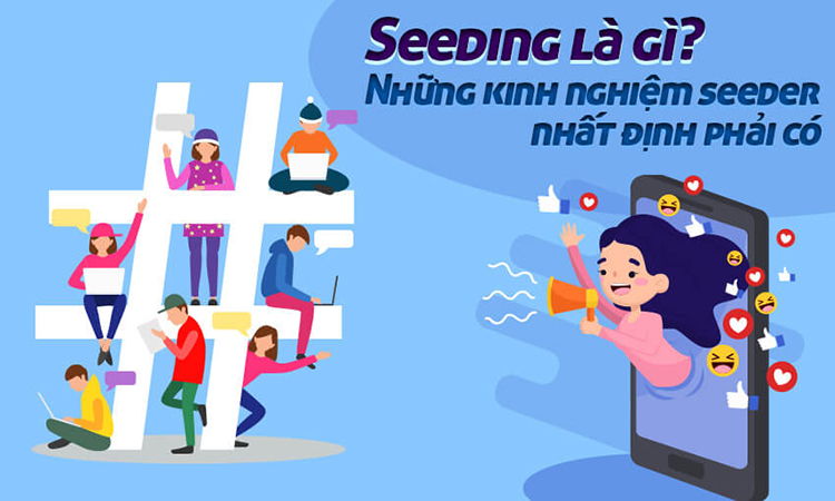 Seeding là gì? Cách để trở một seeder chuyên nghiệp? Cách để seeding hiệu quả