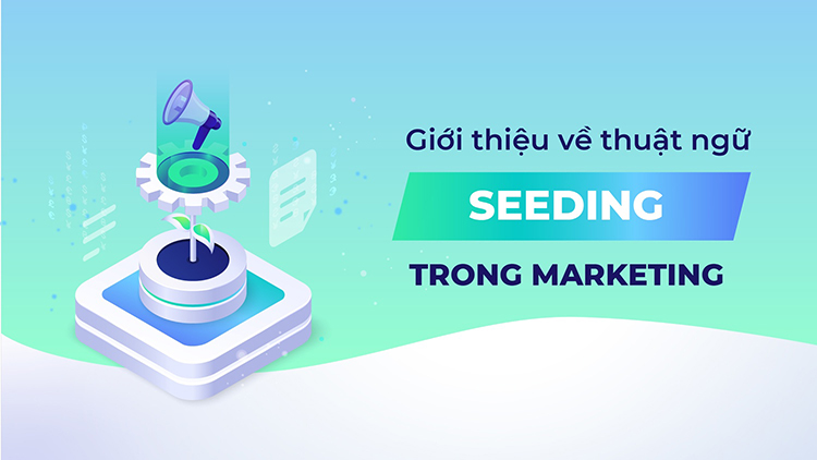 Bản chất của nhiệm vụ “gieo mầm” đối với doanh nghiệp